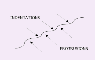 Cognofusion - Object Model