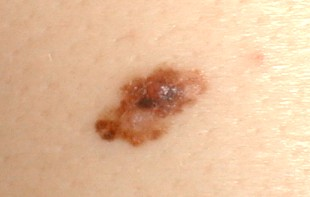 Cognofusion - Object Model